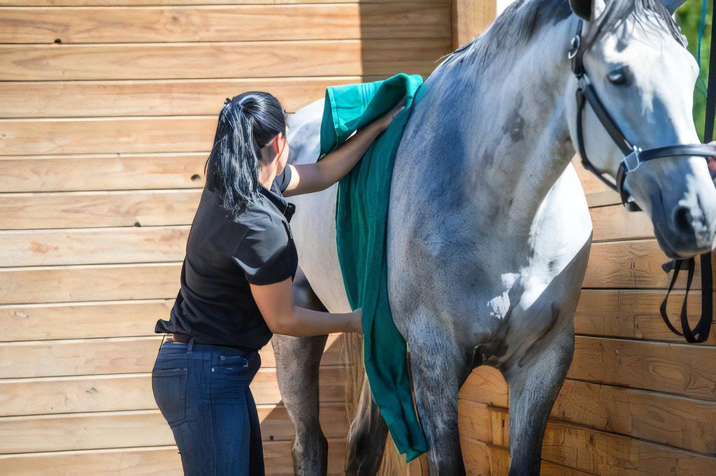 How to Professionally Groom Your Horse with Cowboy Magic
