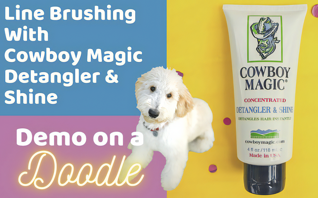 Unleashing the Magic of Detangler & Shine on Your (Golden) Doodle...