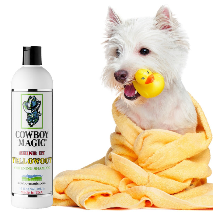 Cowboy Magic Yellowout Shampoo - San Diego Saddlery